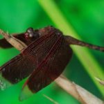 如何顺利完成至尊国际app下载并开启精彩游戏之旅 3ni1svq426