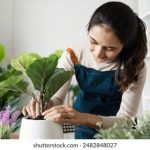 如何顺利完成鸿博国际下载并享受精彩游戏体验 4bthf9su