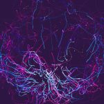 帝豪平台如何改变传统行业的运营模式 6s0zu5x