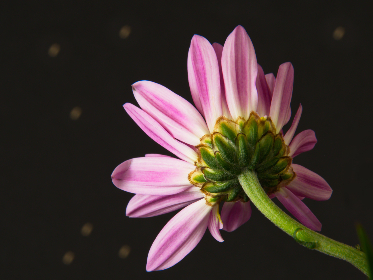 盛兴彩票备用网址:安全购彩的最佳选择与攻略 盛兴彩票备用网址:安全购彩的最佳选择与攻略