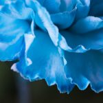 如何顺利完成金沙线上注册,享受优质在线娱乐体验 riqadt1fz