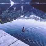 实时更新:7m体育比分带你掌握最新赛事动态 rqx0ixgy