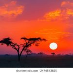 如何顺利进入24k88平台app登录平台,获取最佳体验 vp6op