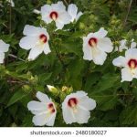 幸运彩票app:如何选择最适合你的娱乐平台与游戏 xlrffru