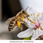 真人买球网:畅享真实赛事投注体验的最佳平台 yseyf1kcv